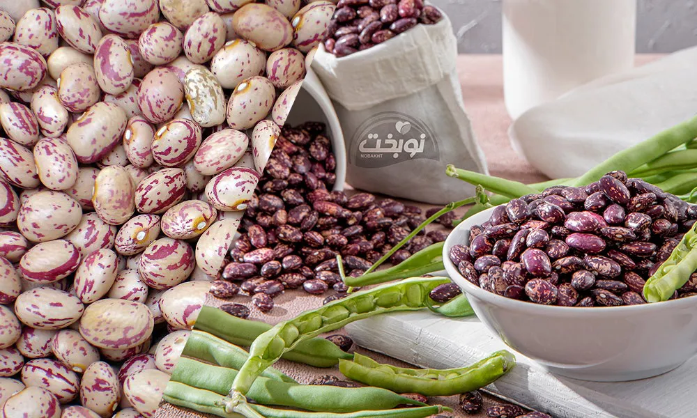 مقایسه لوبیا چیتی ازبکستان و ایرانی: کدام یک برای صنایع کنسرو مناسب‌تر است؟