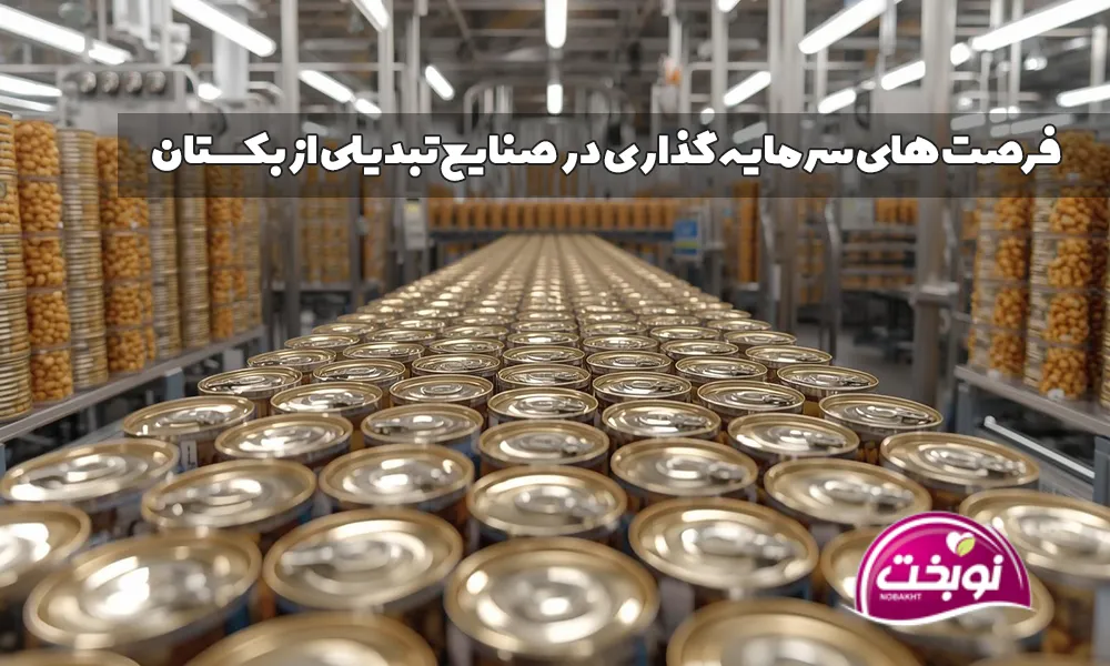 صنایع تبدیلی لوبیا چیتی: فرصت‌های سرمایه‌گذاری در ازبکستان