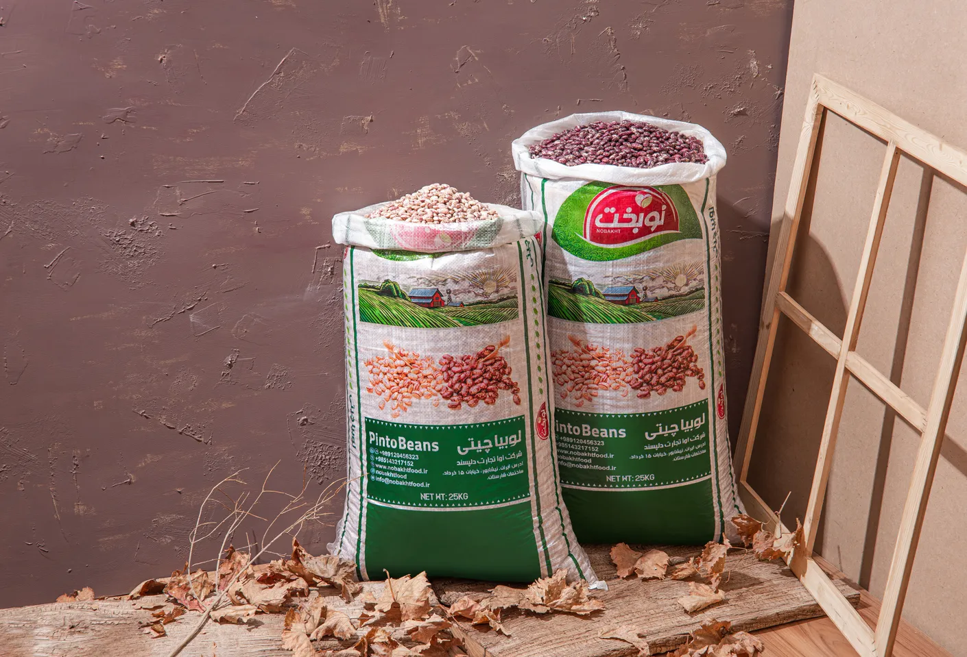 لوبیا چیتی ازبکستان عکس لوبیا چیتی