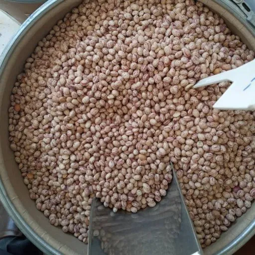 لوبیا چیتی خمین عکس لوبیا چیتی