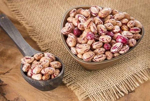 لوبیا چیتی خمین عکس لوبیا چیتی